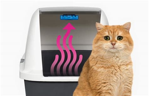 Catit litter box with blue magic technology